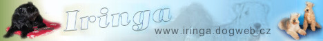 www.iringa.dogweb.cz